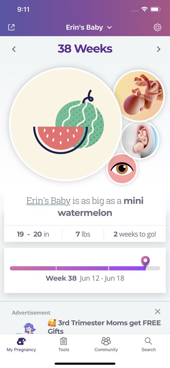ewaggoner30's tweet photo. 2 more weeks! How crazy. I’ve got a mini watermelon kicking around in there. 🍉 https://t.co/pSxjZKl7xf