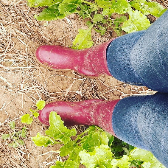 AS_Fievez's tweet photo. 😉 J'ai sorti les #bottes pour l'occasion !
Ce matin, #visite d'une plateforme d'essai avec un groupe d'agriculteurs 🔎🌱. 
Objectif : réaliser une #vidéo 🎥 illustrant les accompagnements de @PvCa80
Merci à Mathilde, Sébastien et Emmanuel pour leur accueil 🙏
#biendansmesbottes https://t.co/YryPZpYWYa