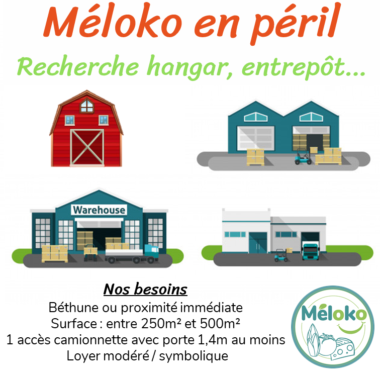 MELOKO tweet media