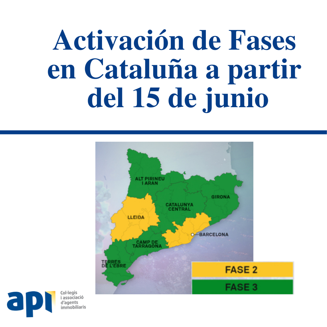 Portal api.cat tweet media