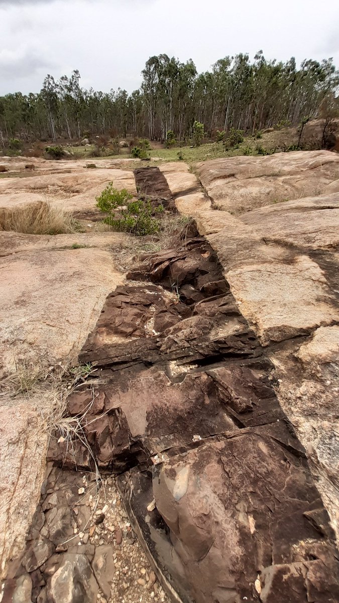 These images were taken on the outskirts of # #Bengaluru,  #Karnataka - a north-south dyke formed along a granitic gneiss boundary.Granite - the dark, volcanic rocks, juxtaposed against the textured light-and-dark gneiss, are indicative of intense heat/pressure during formation.