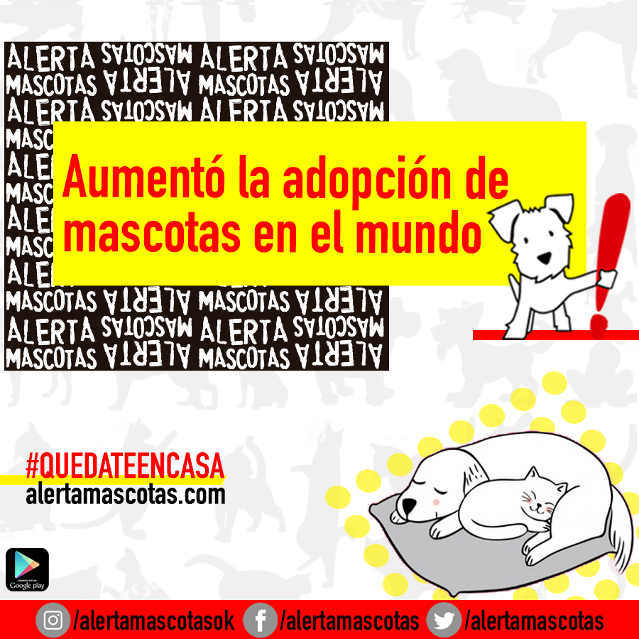 alertamascotas's tweet photo. Noticias que nos alegran el día: aumentó la adopción de mascotas para afrontar el estrés del aislamiento y la pandemia 🐱🐶
.
#QuedateEnCasa
#AdoptaNoCompres
.
.
Para Android descarga la app desde el Play Store.
Para iPhone ingresa a https://t.co/OOCOjfJize
NUNCA DEJES DE BUSCAR https://t.co/wZhjEmmNwC