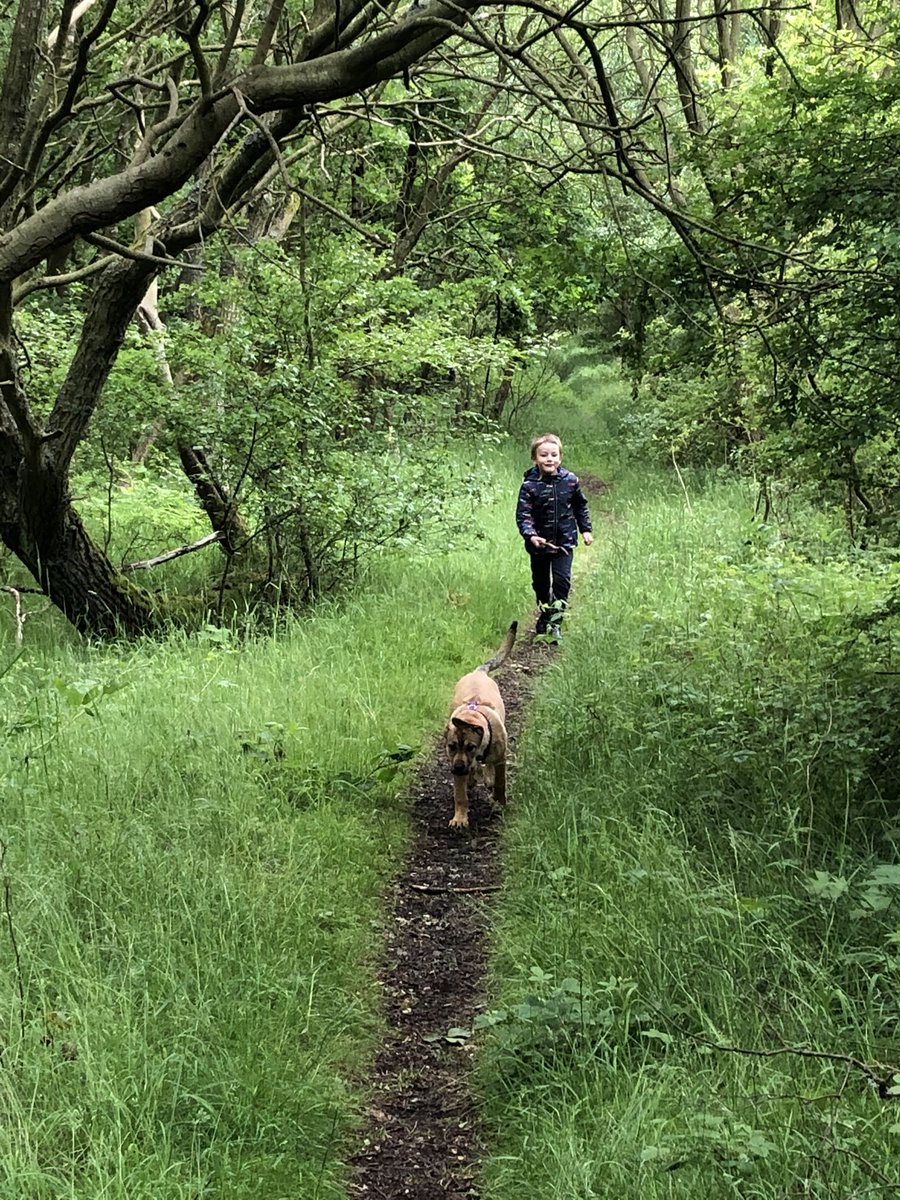 Eleonore36's tweet photo. @ShotleyBPrimary #ShotleyBridgeReception walk in the rain and tadpole sighting https://t.co/fxa8RbzJaG