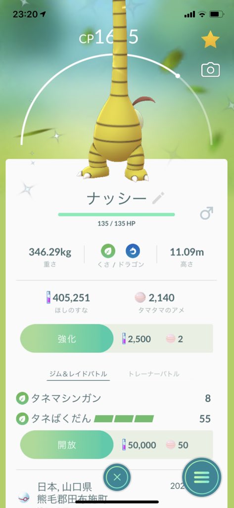 take_rem's tweet photo. 本日レイドでGET‼︎欲しかったから嬉しいな♫
#ポケモンgo https://t.co/OfPV3fEtGl