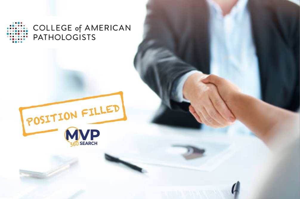 MVP Executive Search and Development tweet media