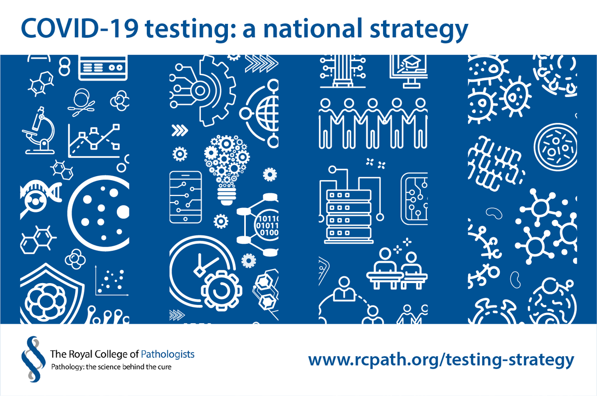 RCPath's tweet image. Our #COVID19 testing strategy looks past the peak of the #epidemic for both viral and antibody testing. It's been developed to help build robust process and structures that will work for the future. ow.ly/pmTd50A3R7x