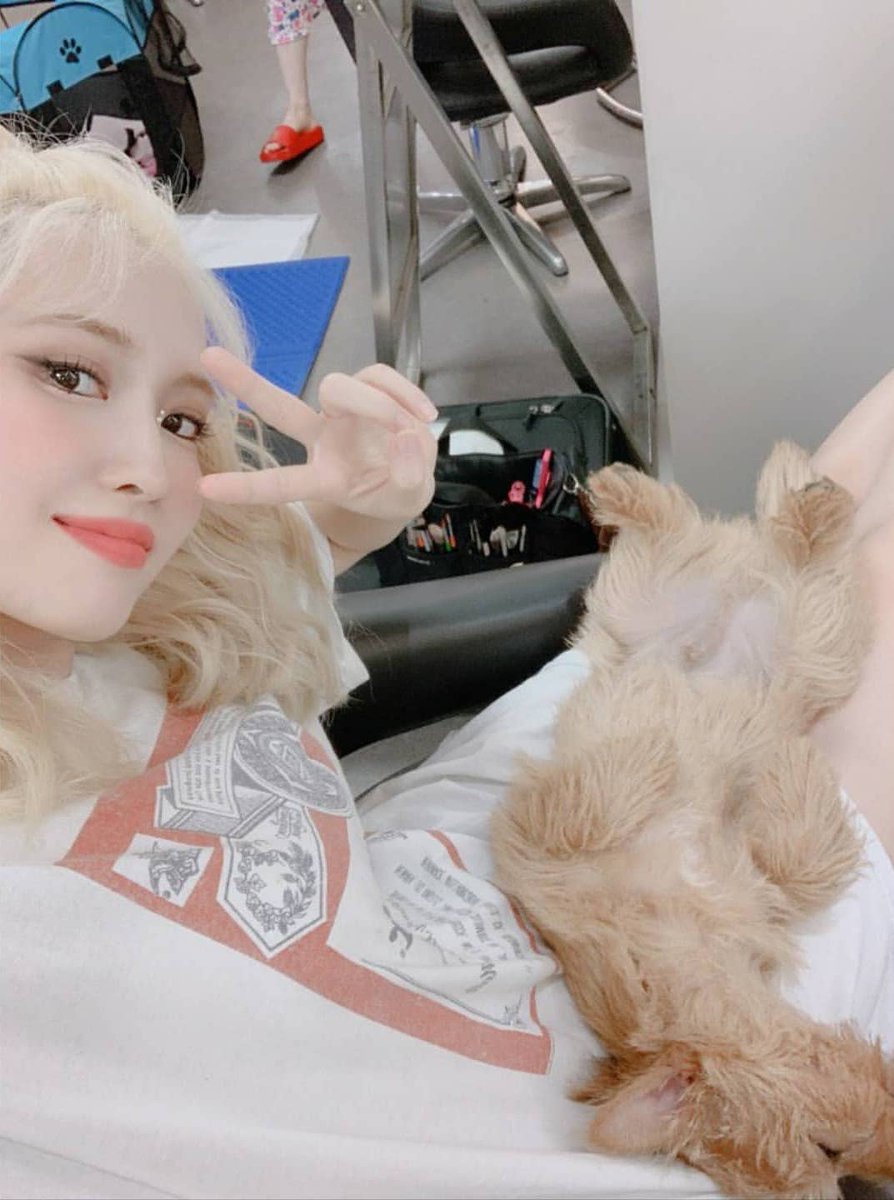 misayeon's tweet photo. Momo’s IG update

"ONCE congrats on the 100th win today ♡ It’s really all thanks to ONCE.. Because we have such reliable ONCE like this, ONCE and us 9 members of TWICE are able to have grateful moments like this.." (cont) https://t.co/BpbyPsQkjZ