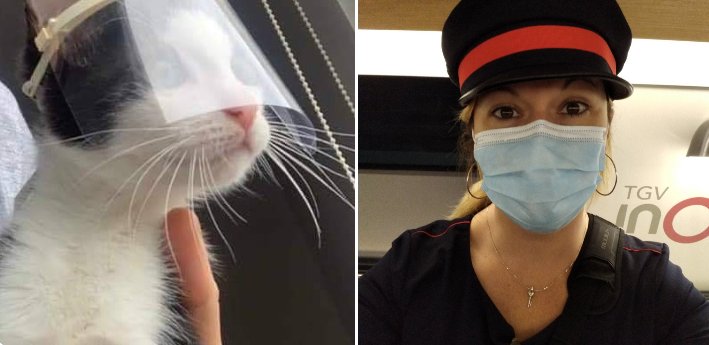 Mes tis Voyageurs du #TGV8544 d'Hendaye à la Capitale  je serai l'1 de vos chefs de bord avec Eddie 😊
N'oubliez votre masque sur le nez 😷

Bon voyage à bord de <a href="/TGVINOUI/">TGV INOUI</a>