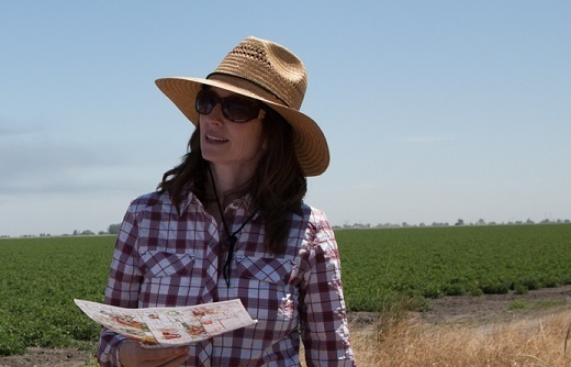 David Festa tweet media