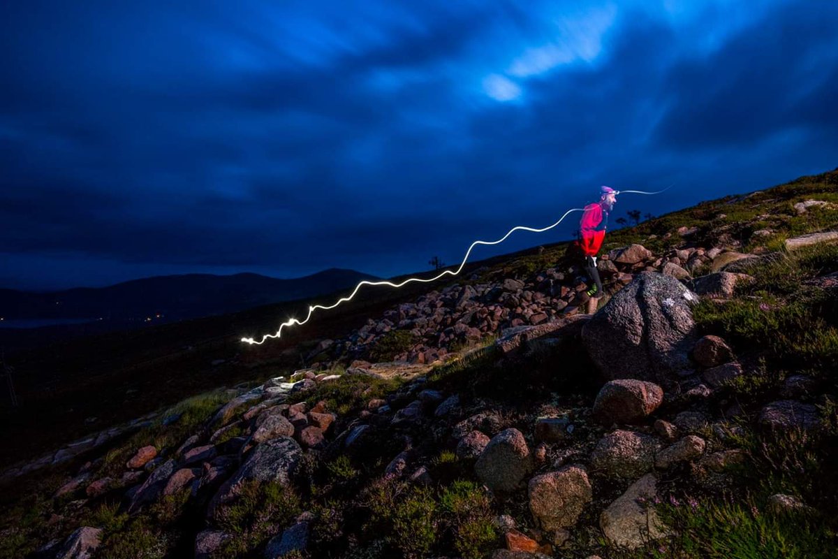 True Grit tweet media