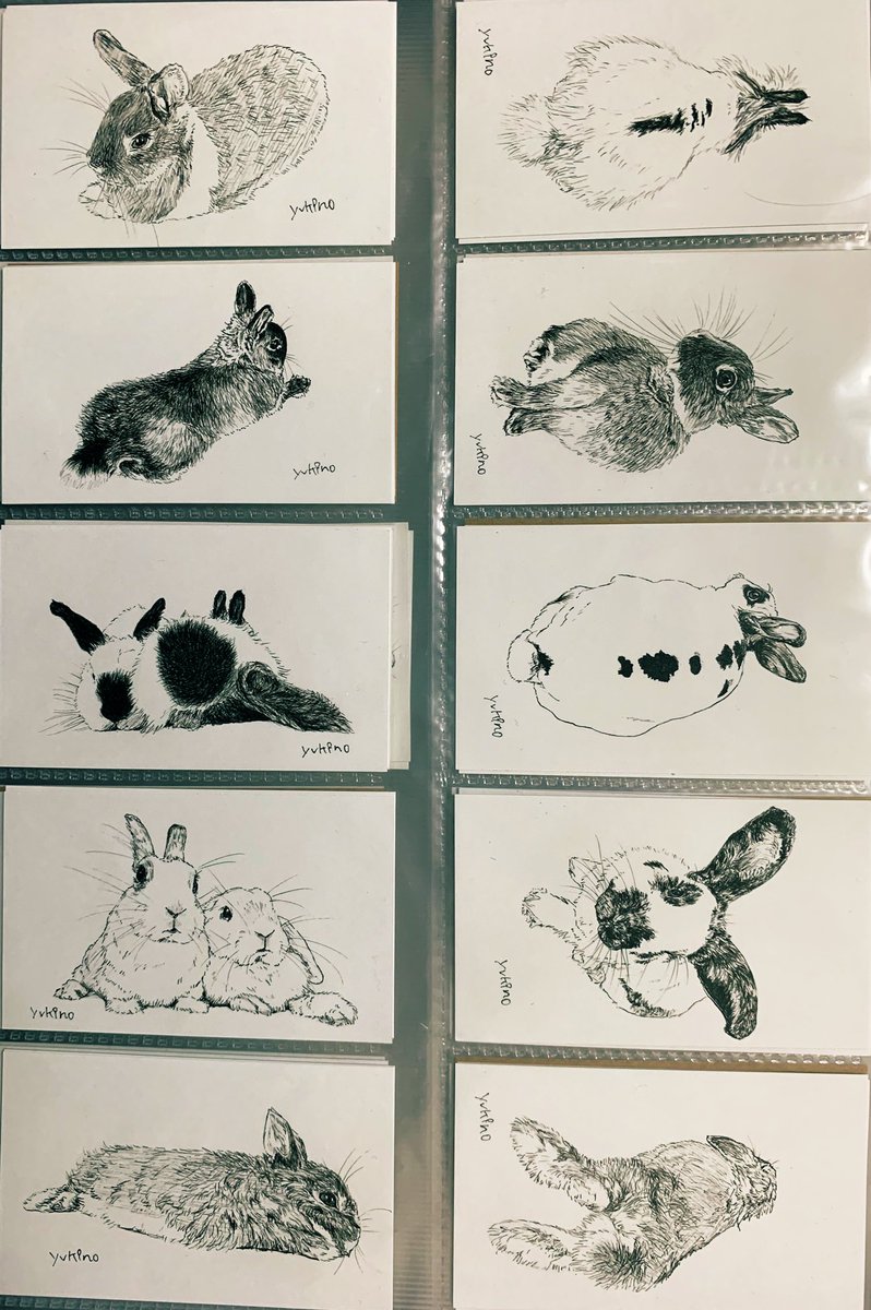 うささページ 楽天市場】2層うさぎケージ 大きい兎 ケージペットフェンス