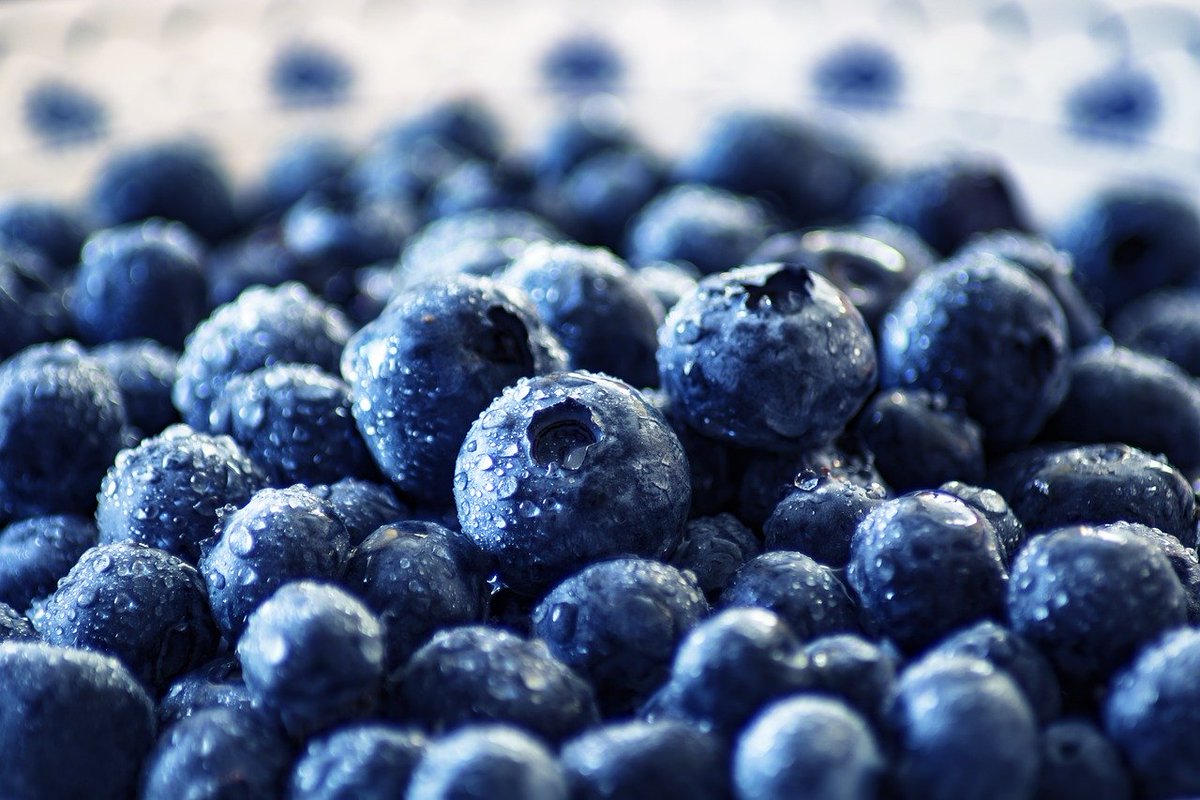 agrorganico_mx's tweet photo. El mercado de Medio Oriente es atractivo para los berries orgánicos 🍓🍓🍓

https://t.co/6Frn752j0V https://t.co/MAHBBMRIMz