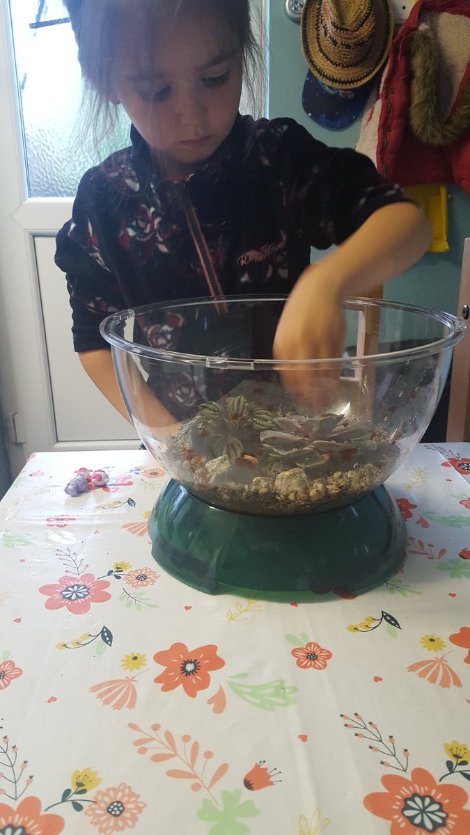 ello_1986's tweet photo. Ava's terrarium 🌱 @parkstone_home @ParkstoneP https://t.co/kMqq4zUVSJ