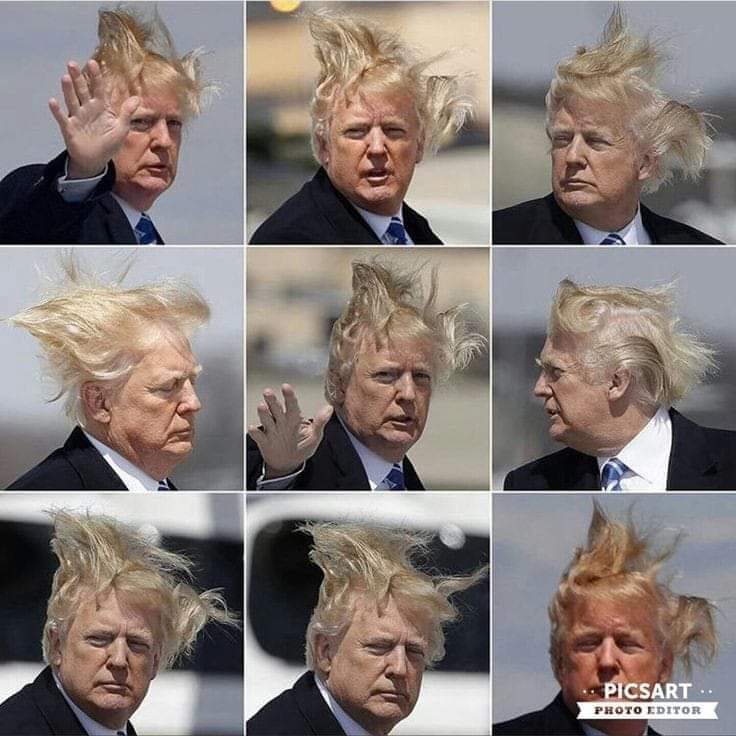 Hallo Mr. President

#trump