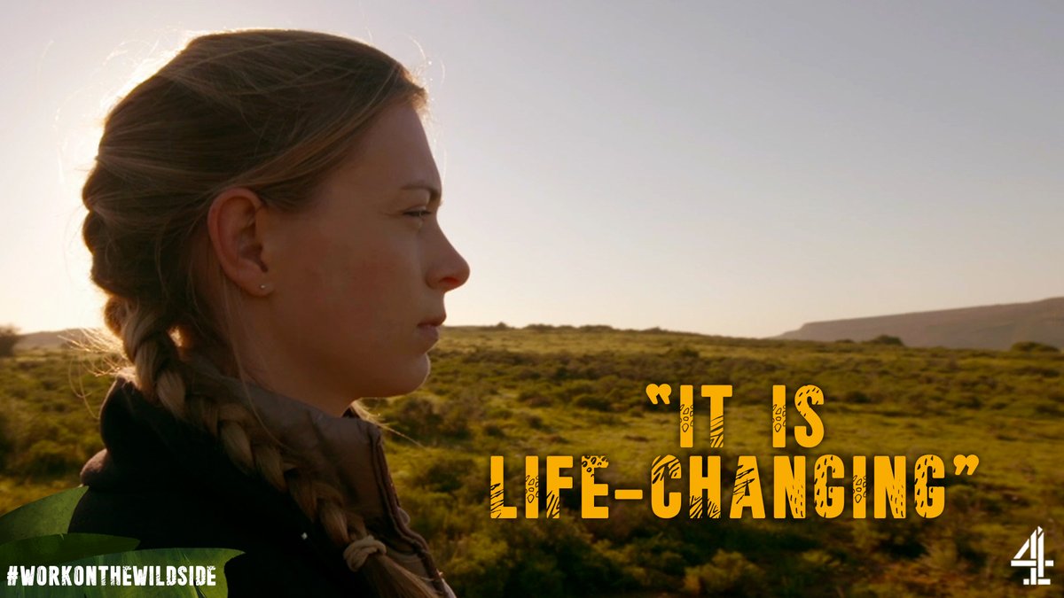 Vets like Annie that work on the frontline of conservation are keeping some of the world's most iconic species alive 👏🦏🦒🌍 #WorkOnTheWildSide