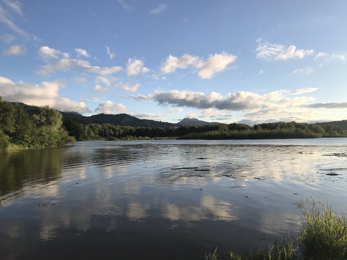 BitteMeer's tweet photo. Endlich mal wieder mit dem #vwbus in der Natur unterwegs 🤩 #Allgäu #camping #bayernliebe #natur https://t.co/oIMyINZavH