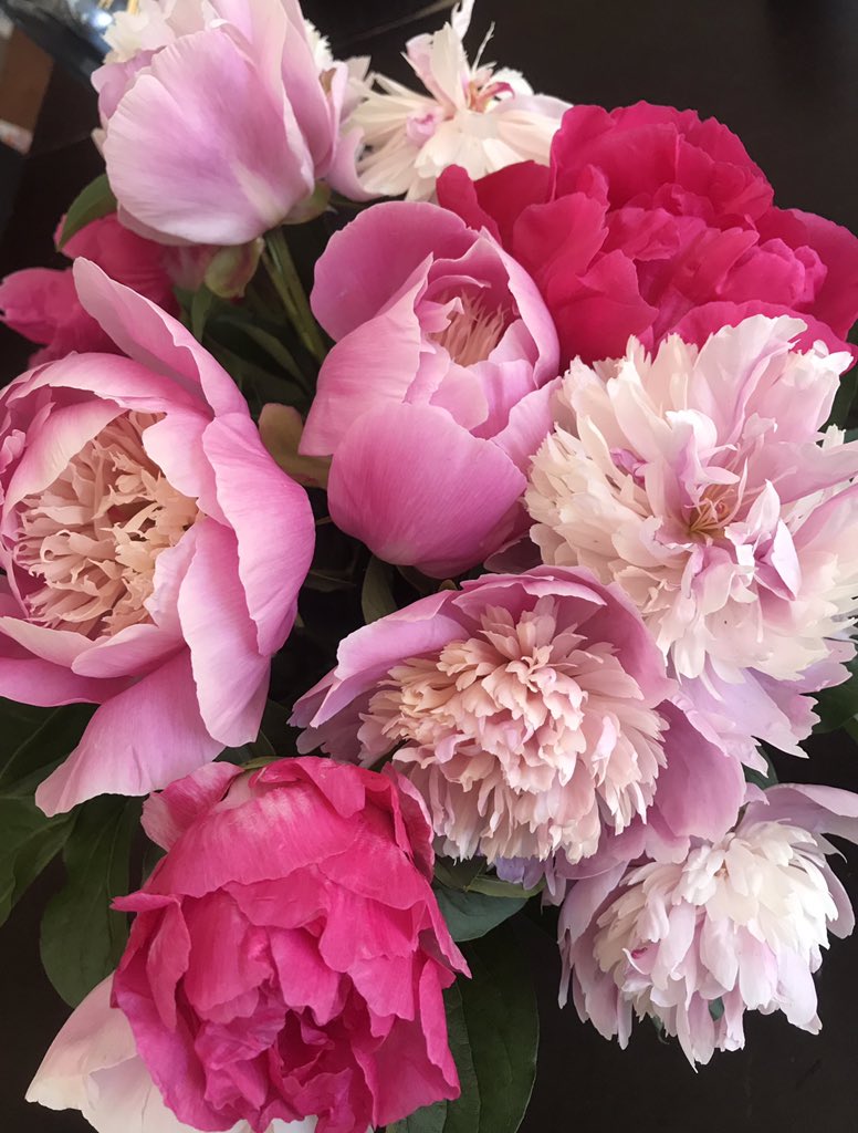 It’s been a week of emotions! Last day of school! Proud of the HTS community on doing a great job with the challenges we had to face. Now it’s time to relax and smell the flowers.  Have a safe, healthy and happy summer! #HTS #Courage #tgif #smelltheflowers #peoniesfrommygarden