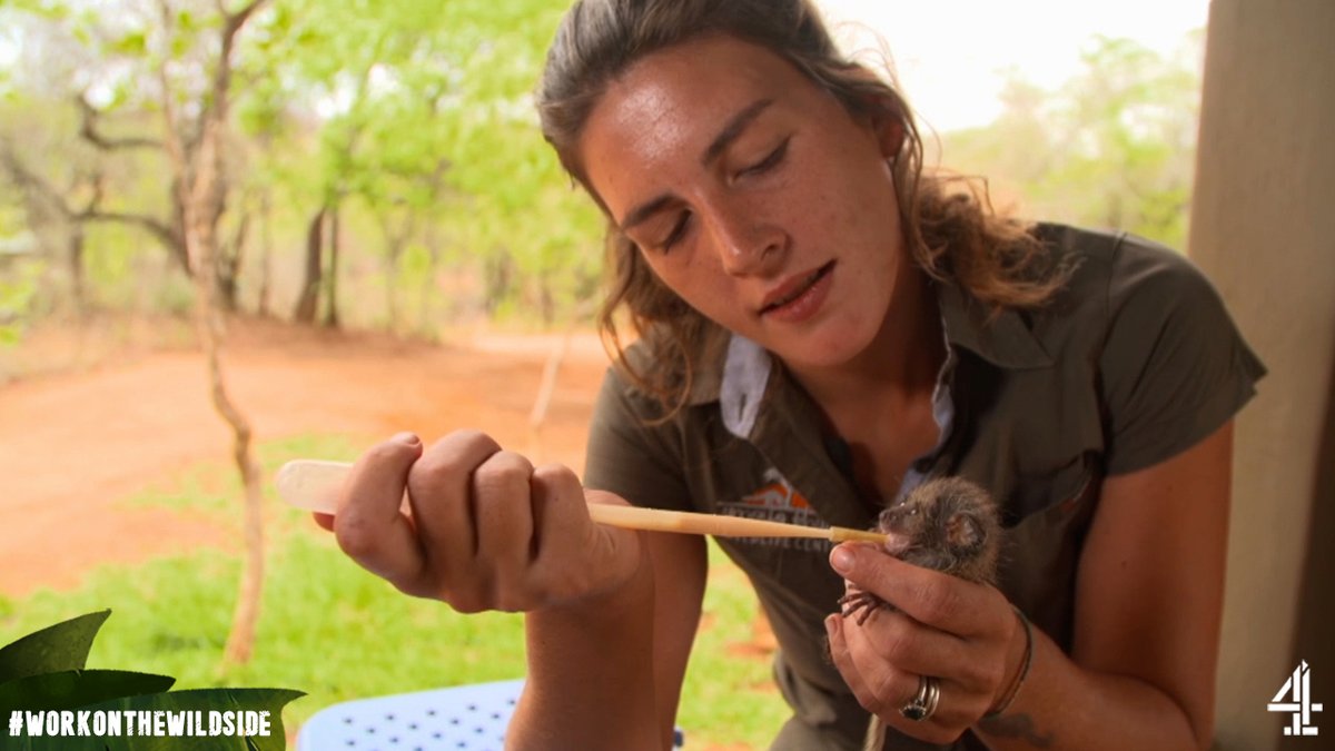 Emma wakes up every two hours to feed these baby bush babies. If that's not dedication, we don't know what is 💛  #WorkOnTheWildSide