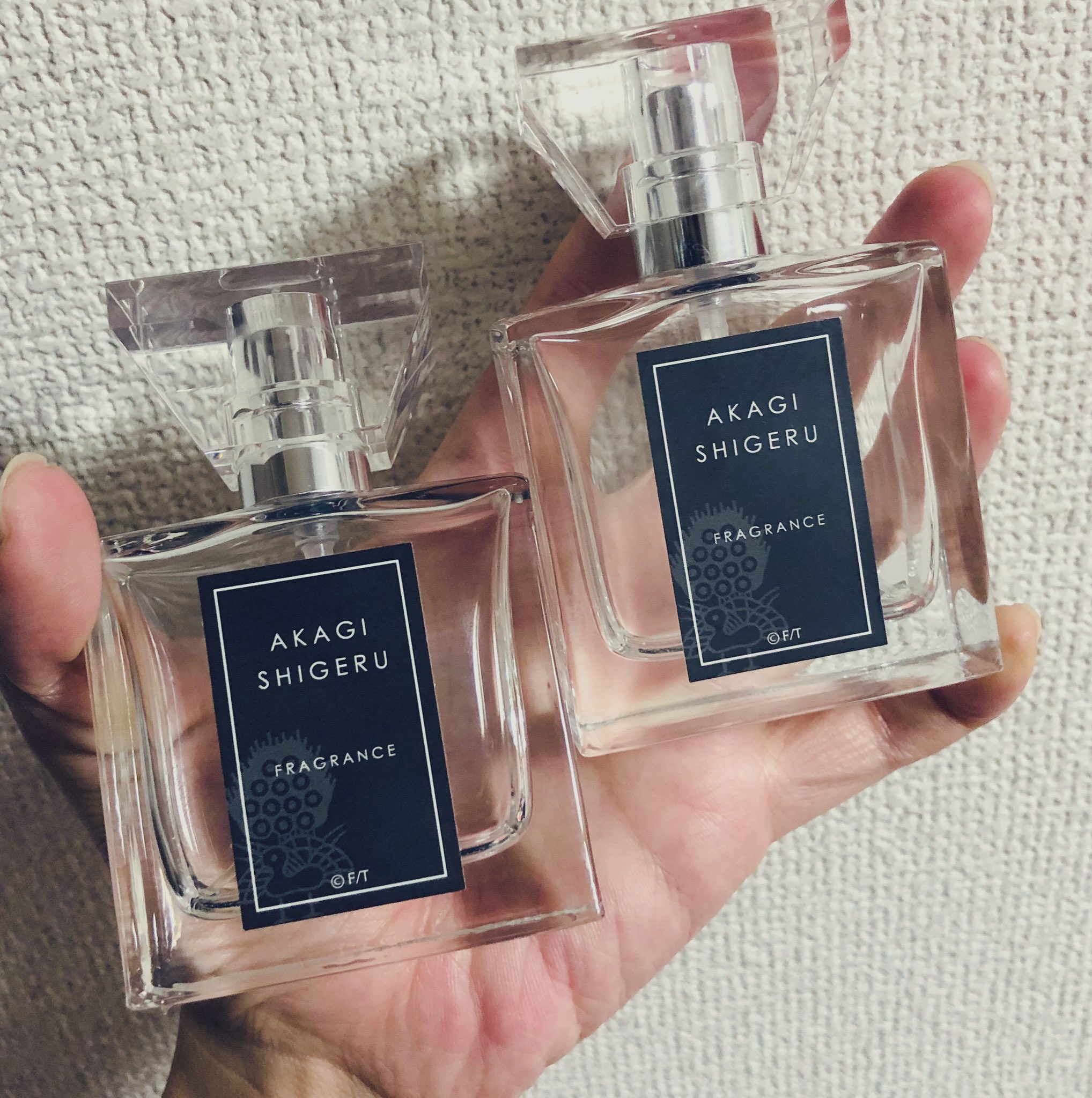 Amazon | primaniacs（プリマニアックス） 天 天和通りの快男児