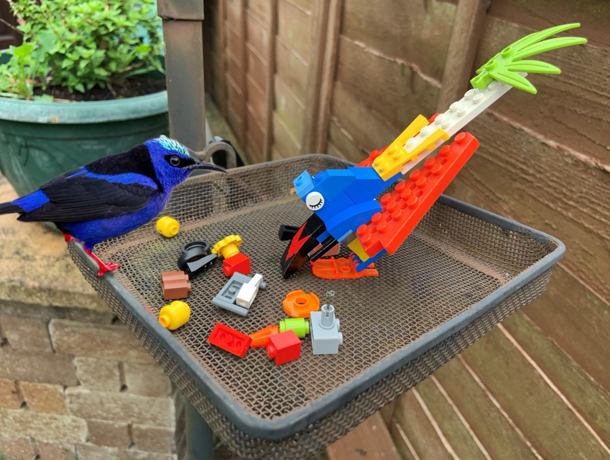 Leeds Libraries tweet media