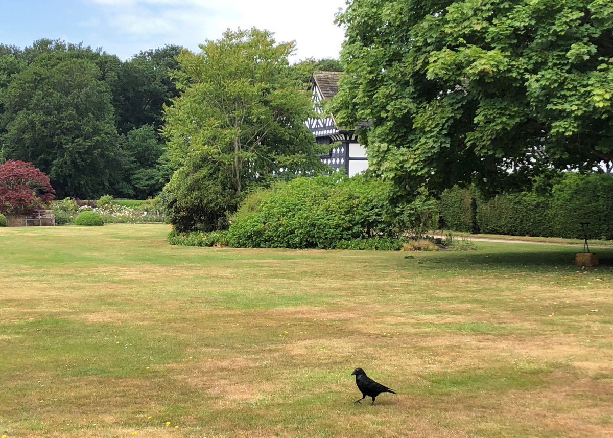 Please remember that Speke remains closed at the moment. We should have some exciting news next week for you about reopening!