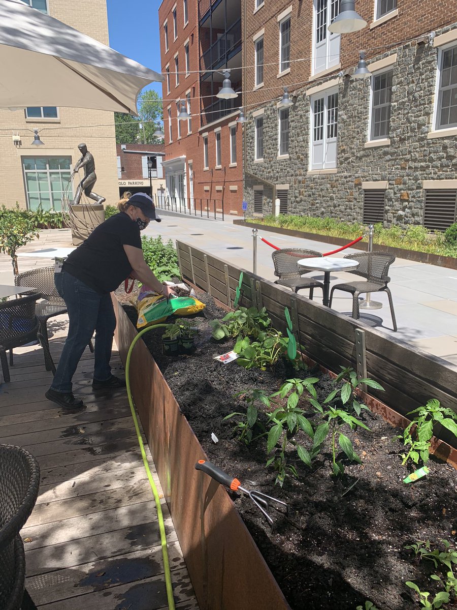 Our Exec Chef getting the garden ready! #oldtown