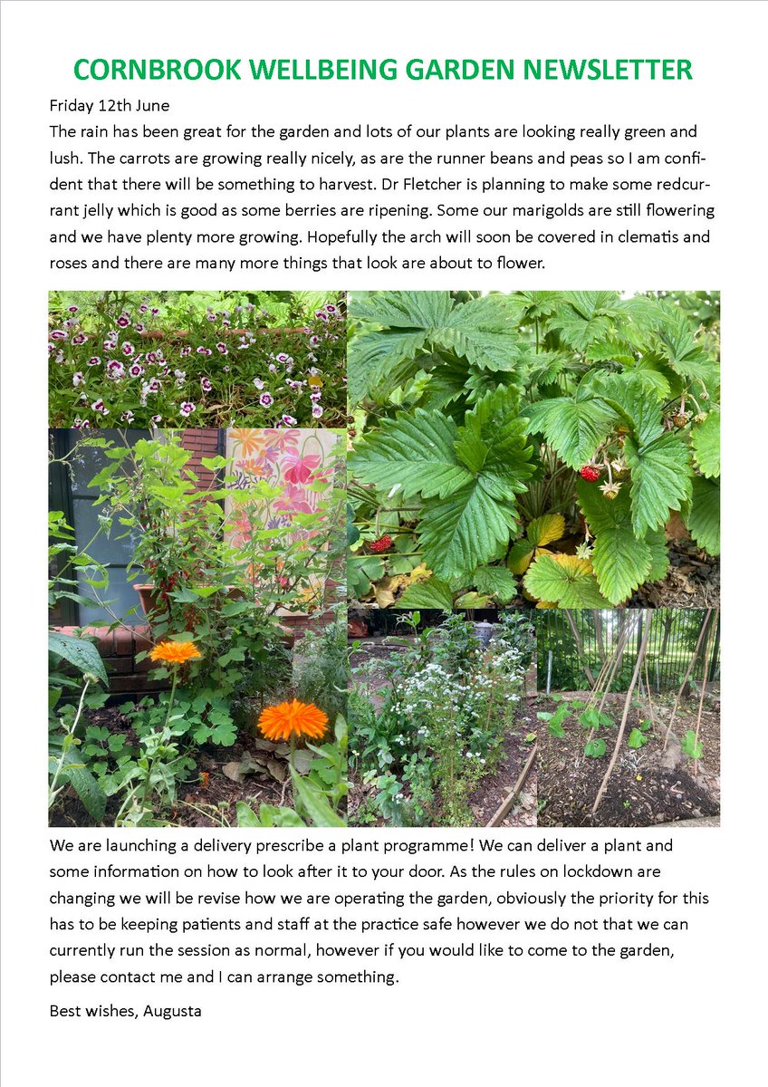 Latest news from the community garden!