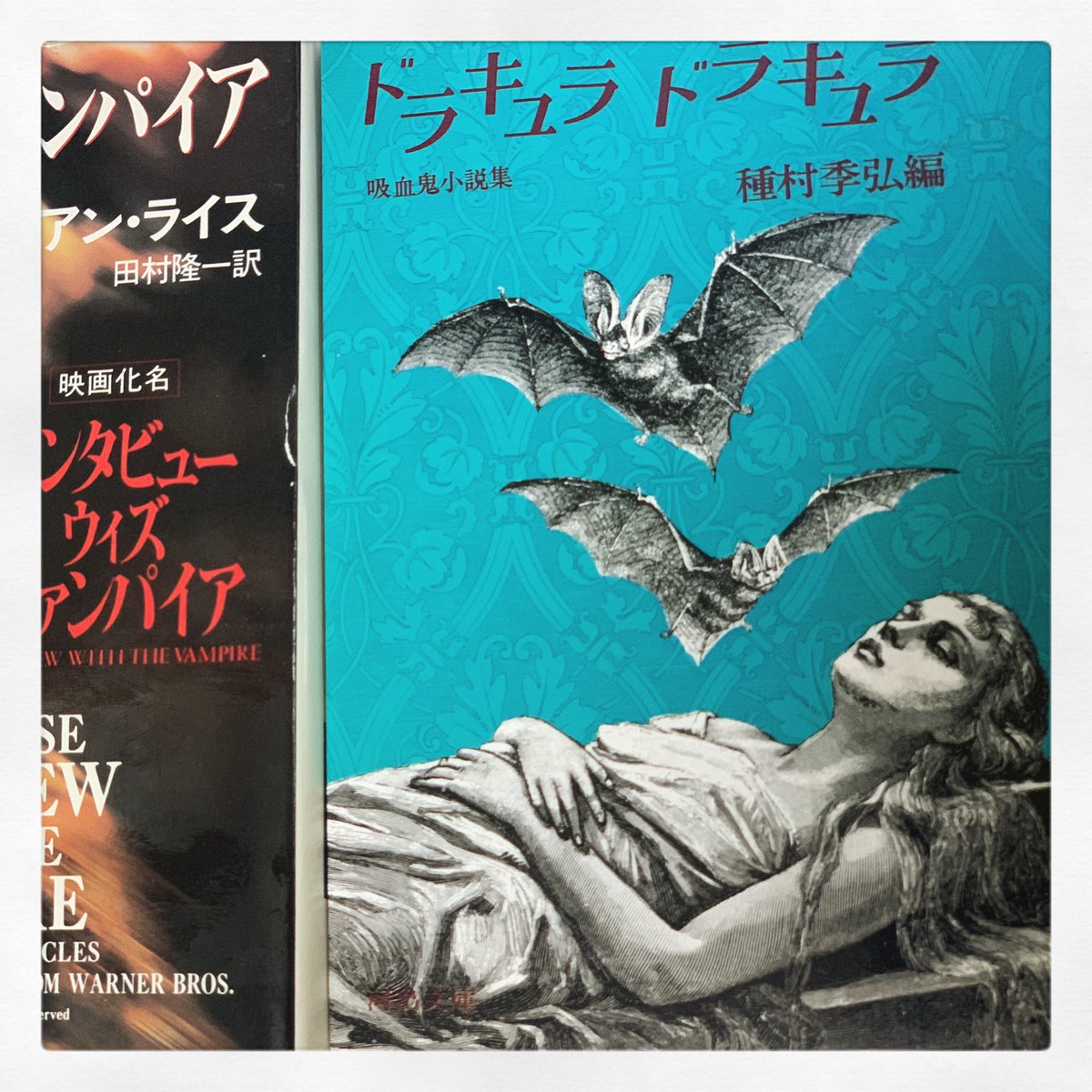 中川多理人形展 Till Dawn 暁に 年5月23日 土 Online Viewing パラボリカ ビス 中川多理人形展 Till Dawn 暁に 年5月23日 土 Online Viewing パラボリカ ビス