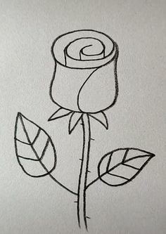 Rose Hand Drawn Sketch And Watercolor Illustrations Watercolor Painting  Rose Rose Illustration Isolated On White Background Stock Illustration -  Download Image Now - iStock