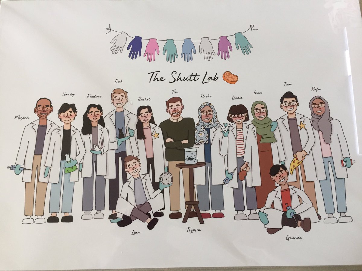 Thank you everyone at the Shutt lab for the sweetest graduation gift! I love everything about this poster 🔬🧫🧬💙 <a href="/MitoMORPH/">ShuttLab</a> <a href="/TianhasMitos/">Tian Zhao</a> <a href="/Tatsatu/">Govinda Sharma</a> <a href="/leemguini/">Liam A</a>