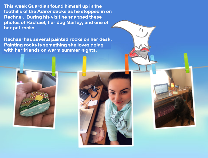 CI_LLC's tweet image. 