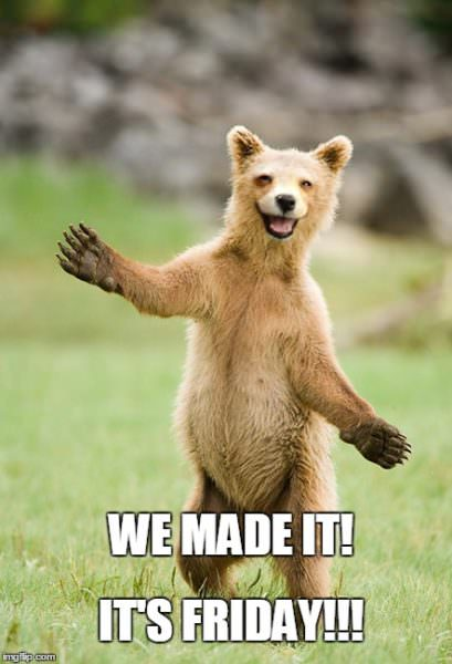 MagnetTheatre's tweet photo. Lockdown feeling un-bear-able?
Share the Love and help us fund the bear necessities through our Covid19 Emergency Campaign!

https://t.co/vTGJEcCEGV… https://t.co/1iuMcWZ99q