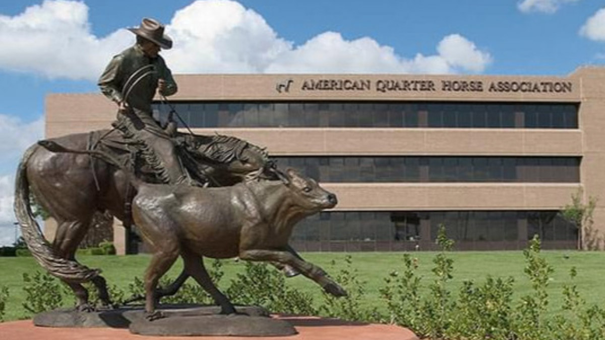 PetShopity's tweet photo. #FridayFunFact - The Quarter Horse is one of the most popular horse breeda in the world. Learn more @AQHA 
https://t.co/hVt9g5lBdr
#quarterhorse #americanquarterhorse #horses #horselover #aqha #petshopity #horsesoftwitter https://t.co/Ql1IiN45Z7