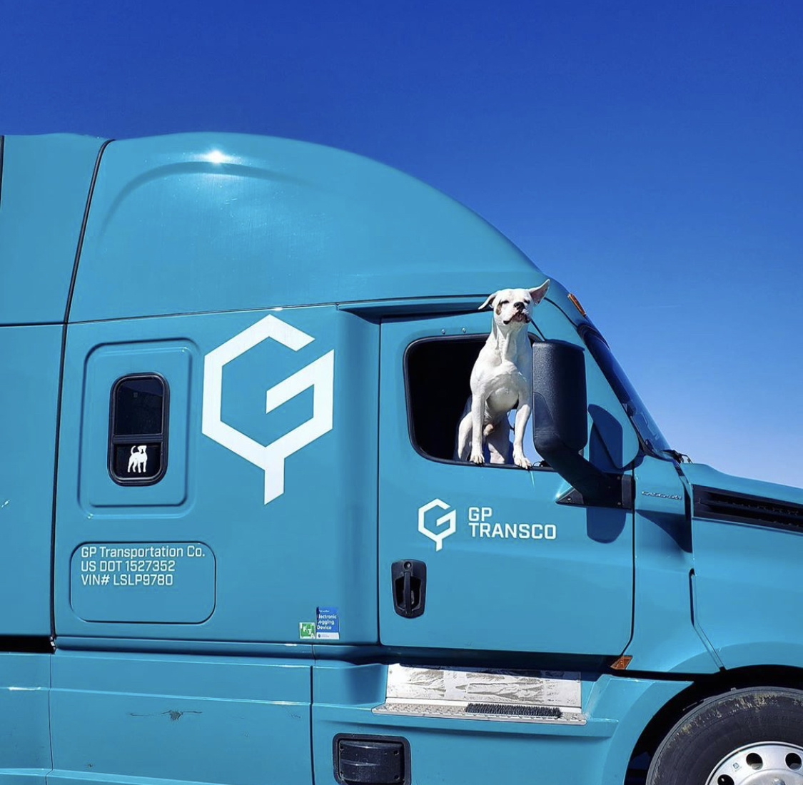 freightliner's tweet photo. When the sun is out and the windows are down, man's best friend can enjoy the breeze in their #GPTransco #Cascadia. ☀️ https://t.co/4SgAqRraYq