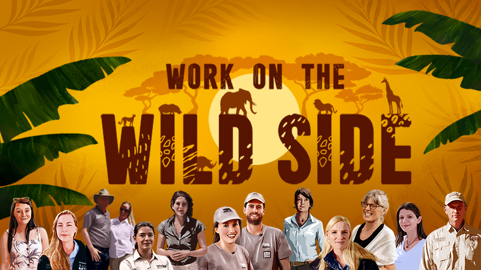 Thank you to the inspirational UK vets &amp; volunteers who shared their stories whilst trying to save our planet 👏

After the love for the series, #WorkOnTheWildSide will transfer to prime time later in the year with 10 shows featuring all of the characters you have grown to adore.
