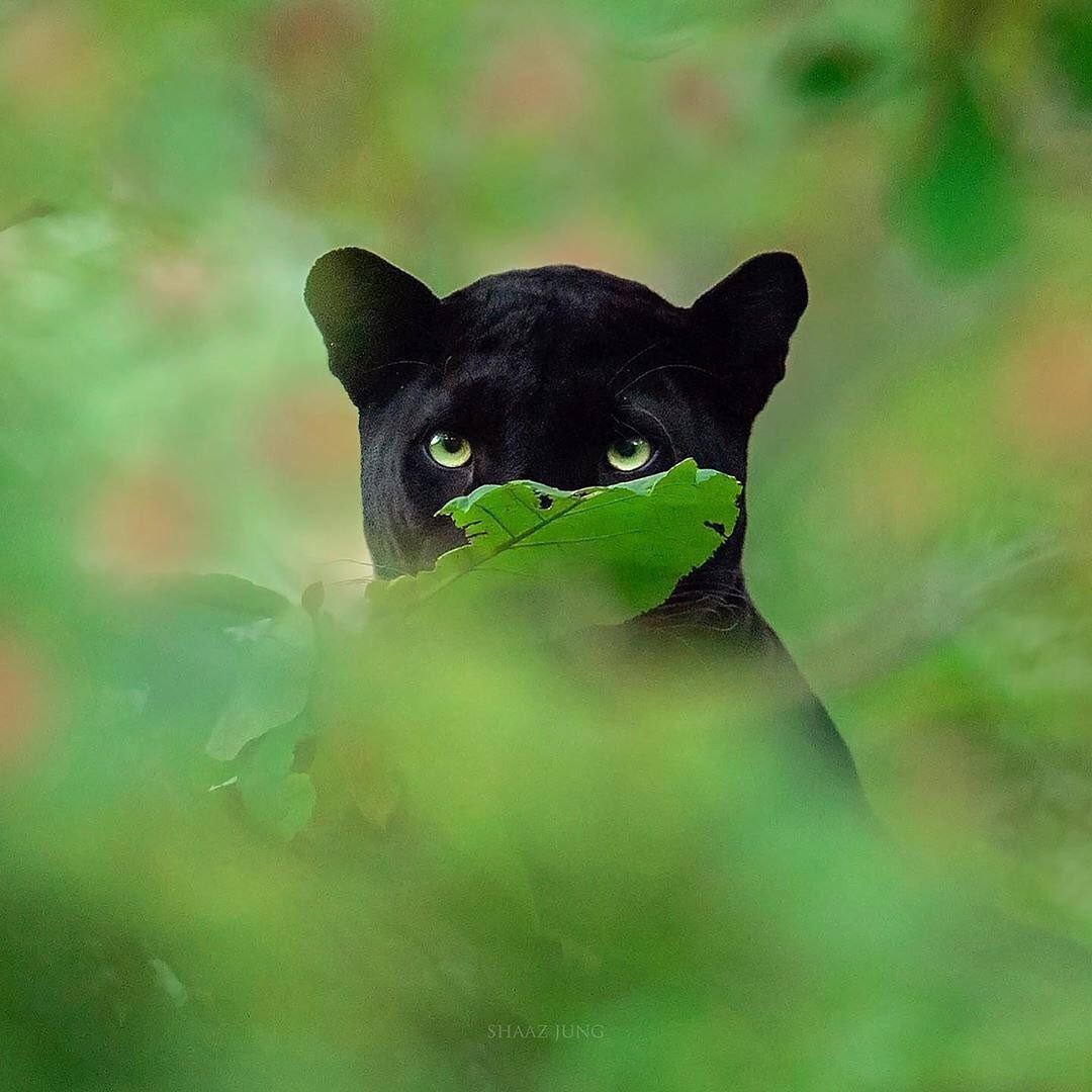 naturesounds8d's tweet photo. Good morning...
Happy friday https://t.co/AQLpOAfqfP