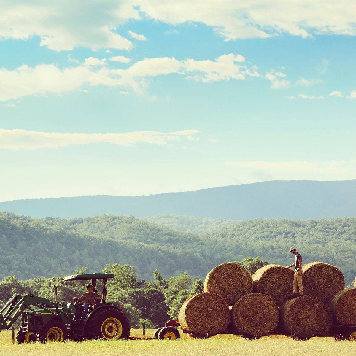 CapitalRegionUS's tweet photo. Oh hay there! #Summer is here and we can't wait to escape to the countryside and explore the great outdoors. @fortlewislodge set on 3,000 acres of farmland in the mountains of #BathCounty Virginia is the perfect place to get back to nature (image credit: @fortlewislodge) #LoveVA https://t.co/skaH4ogOkw
