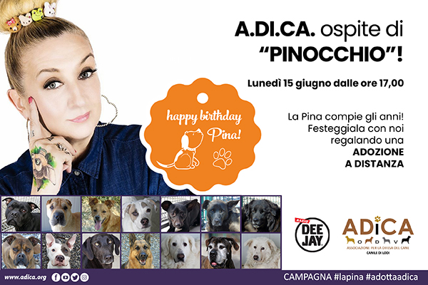 ADICA Associazione per la Difesa del Cane - ODV tweet media