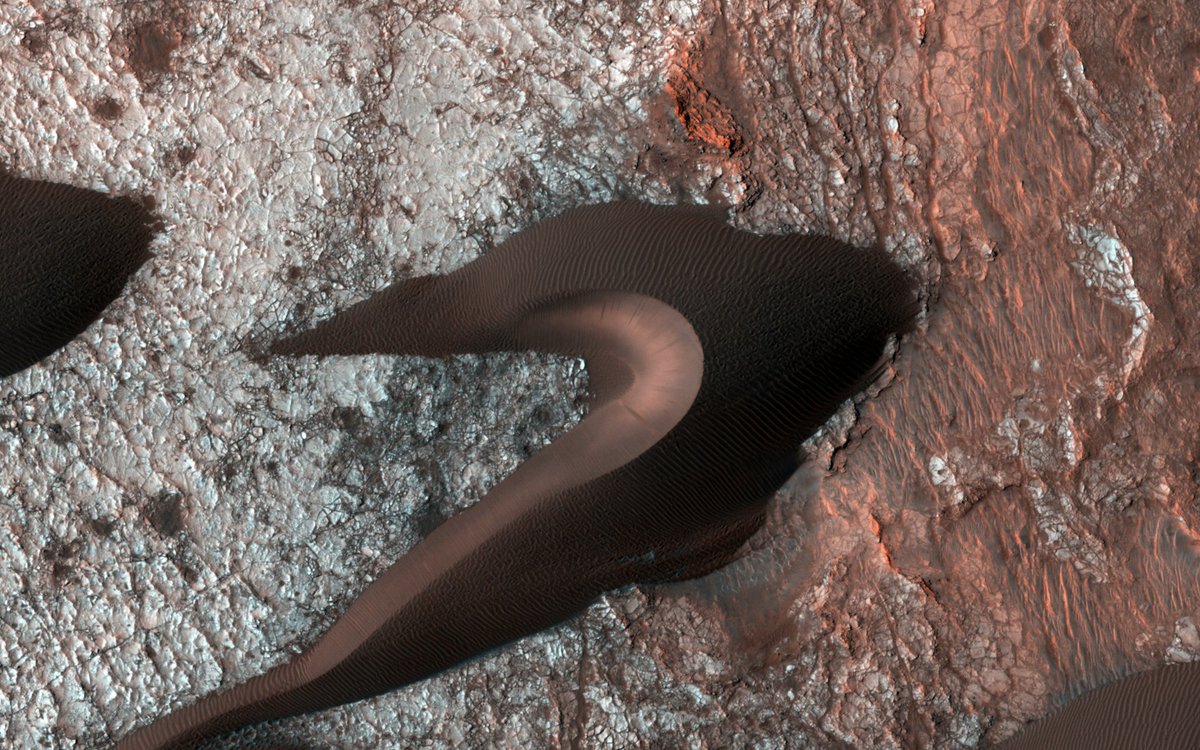 SharksOfMars's tweet photo. Sharks of Mars?! Really....we didn't see this coming๐
#SharksofMars #VR https://t.co/qcartVgQI7