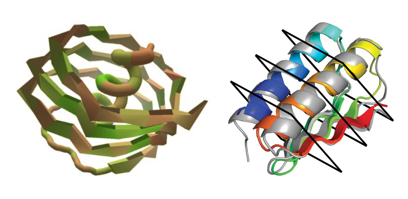 advlightsource's tweet image. By playing the computer game, “Foldit,” citizen scientists designed proteins that were as stable as those generated by computer, but more structurally diverse. @BerkeleyLab @Foldit @UWproteindesign go.usa.gov/xVGSN