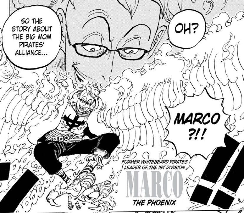 Dj Why Is Marco Flying Around Wano I Guess He S Always Gonna Be Around When Luffy Is In Some Sort Of Trouble Onepiece His Devil Fruit Is One Of