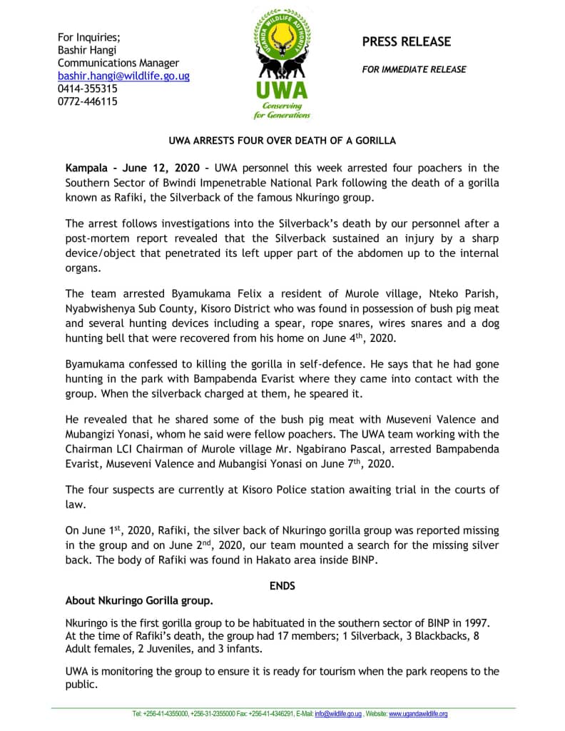 Gerald Zihembire AHABWE, PhD (@gahabwe) on Twitter photo Pained to read this. Communities around the parks must be engaged further to live in harmony with the ecosystem. As an immediate neighbor to Bwindi Park, I pledge my all to this cause! <a href="/ugwildlife/">Uganda Wildlife Authority</a> <a href="/BwindiTrust/">Bwindi Trust</a> <a href="/MCDO_Uganda/">Mgahinga Community</a> <a href="/ABarirega/">Barirega Akankwasah, PhD</a> <a href="/MTWAUganda/">Ministry of Tourism-Uganda</a> @UgTourismBoard <a href="/TouroperatorsUG/">AUTO #TourismUganda</a> Pained to read this. Communities around the parks must be engaged further to live in harmony with the ecosystem. As an immediate neighbor to Bwindi Park, I pledge my all to this cause! <a href="/ugwildlife/">Uganda Wildlife Authority</a> <a href="/BwindiTrust/">Bwindi Trust</a> <a href="/MCDO_Uganda/">Mgahinga Community</a> <a href="/ABarirega/">Barirega Akankwasah, PhD</a> <a href="/MTWAUganda/">Ministry of Tourism-Uganda</a> @UgTourismBoard <a href="/TouroperatorsUG/">AUTO #TourismUganda</a>