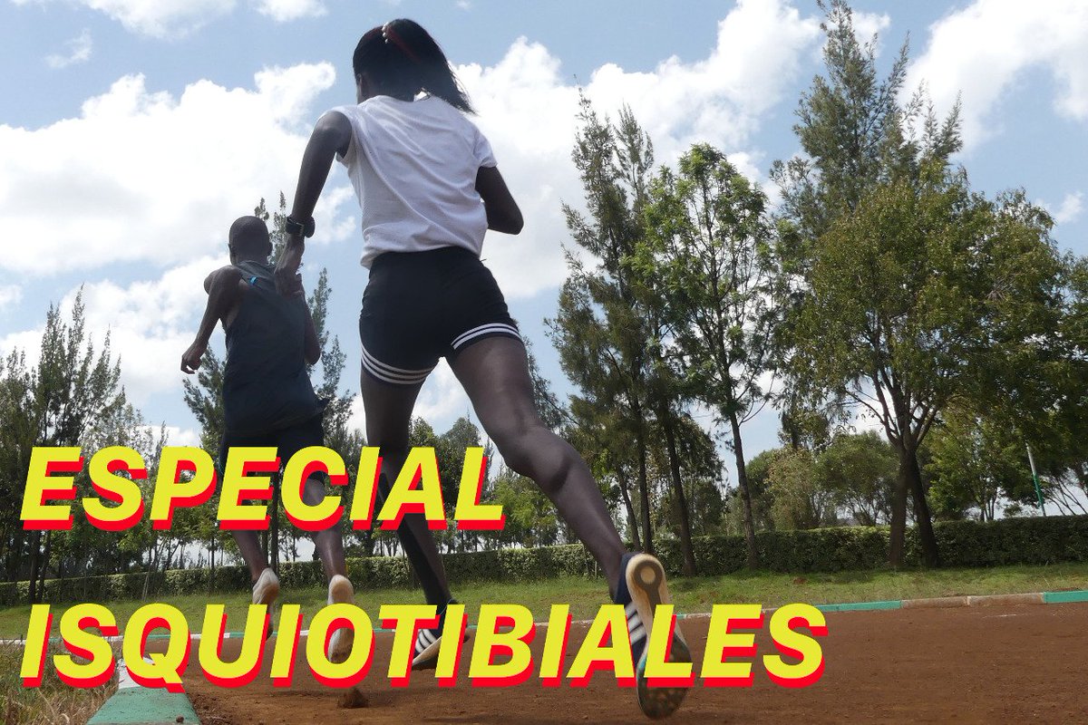 Ya está disponible, en mi canal de #YouTube, el vídeo especial sobre isquiotibiales: qué los hace tan especiales y cómo entrenarlos. 
👀 youtu.be/U_1XlSCTF70