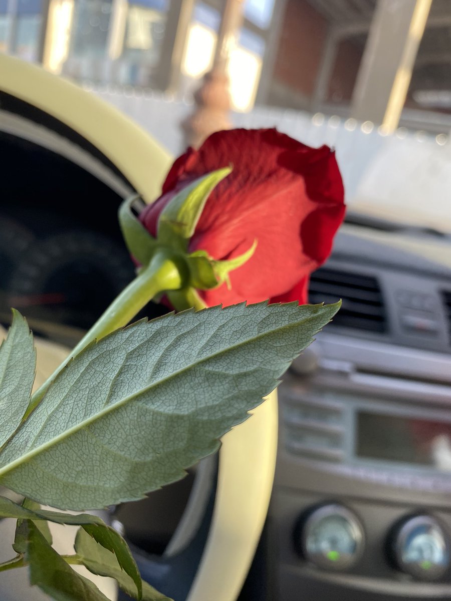 12_badr's tweet photo. #اجمل_صوره_صورتها https://t.co/gRtdfelVOK