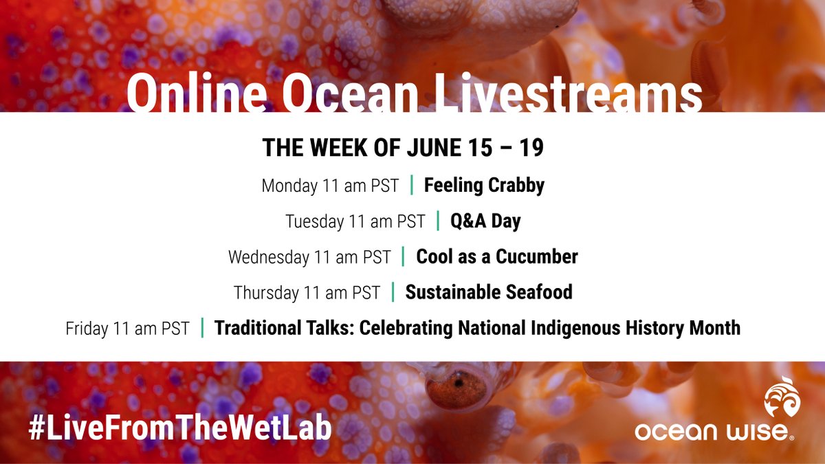 OceanWiseEdu's tweet photo. Looking for more ways to #learnathome next week? Check out our free #livestreams that happen every weekday #LiveFromTheWetLab! 
https://t.co/P6jJYjlAeB https://t.co/mmwQkIO5IQ