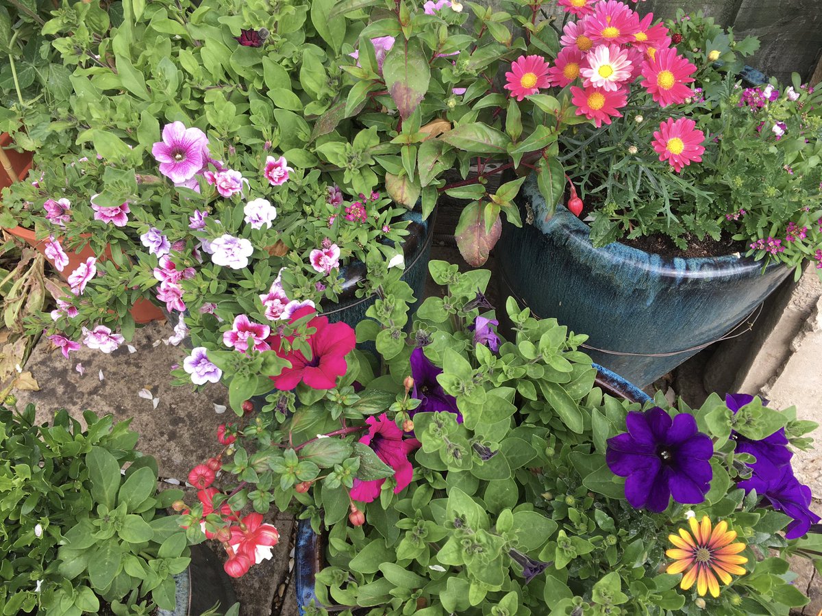 My life in pictures. No explanations. Nominated by <a href="/katejnoble/">Dr Kate Noble</a> 3/7
Today I nominate <a href="/whirlwindhelen/">Helen Thorpe</a>