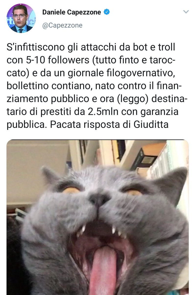 MrETP's tweet photo. Dovrebbe essere l'ultimo ad attaccare gli altri sui #zerofollower https://t.co/7MEAF4ll8p