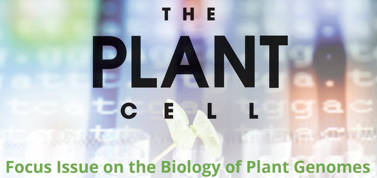 Excited to be working on the The Plant Cell- Focus issue on The Biology of Plant Genomes. Deadline for submissions Sept 1, 2020 with publication in April, 2021. @ThePlantCell aspb.org/publications/t…
