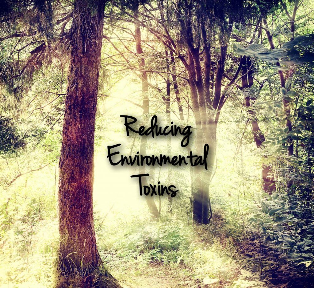 Please check out my latest post. #stayhealthy #healthy #environment #essentialoiks ahealthyme.ca/ways-to-avoid-…