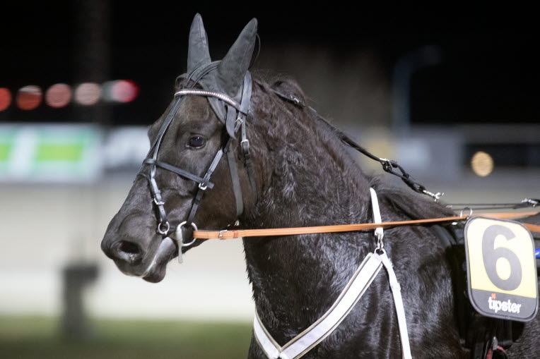 Voksen og skarp analyse av V75-1 kan leses her:
hasseltrav.no/2020/06/12/vin…

#llv75